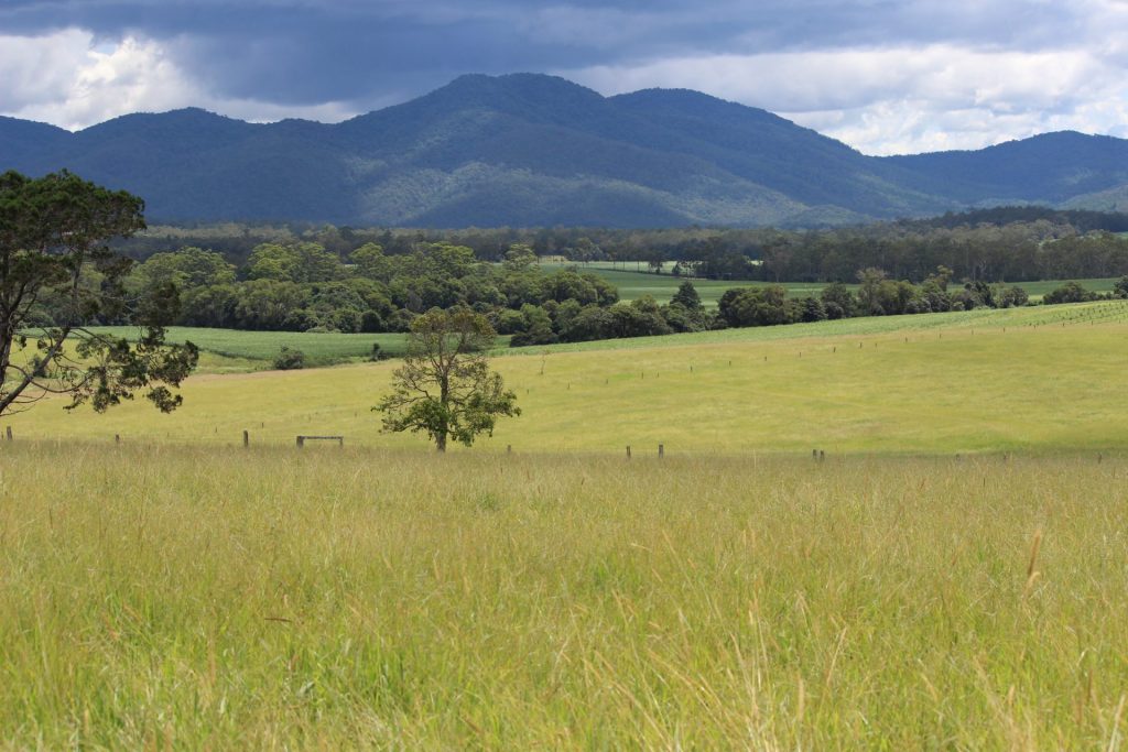 Hillview property